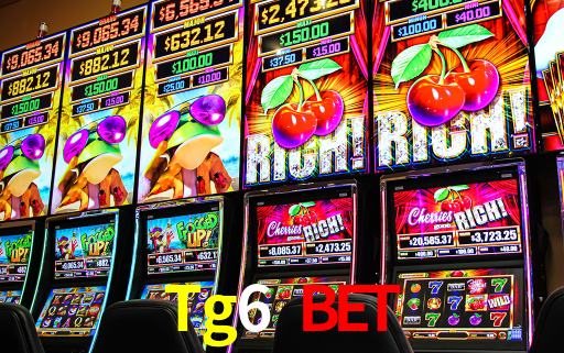 Interface do App Tg6 Bet