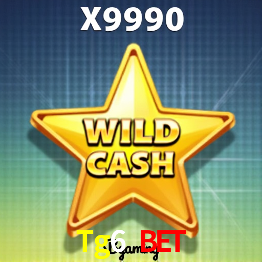 Experiência VIP Tg6 Bet